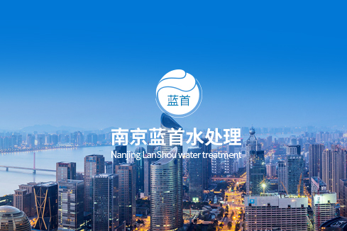 溧水建站-南京蓝首水处理设备有限公司