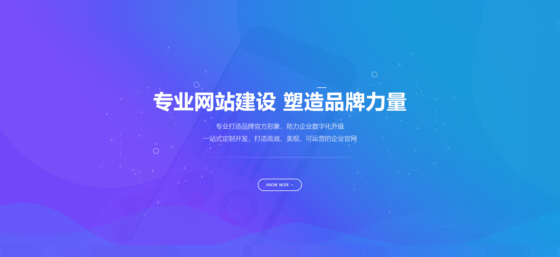 雨花台建站-专业网站建设 塑造品牌力量